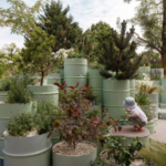 Sustainable Outdoor Space Enhancement and Care Techniques