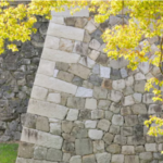 Revitalizing Your Home: Expert Strategies to Boost Curb Appeal