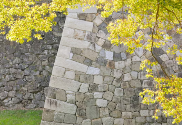 Revitalizing Your Home: Expert Strategies to Boost Curb Appeal