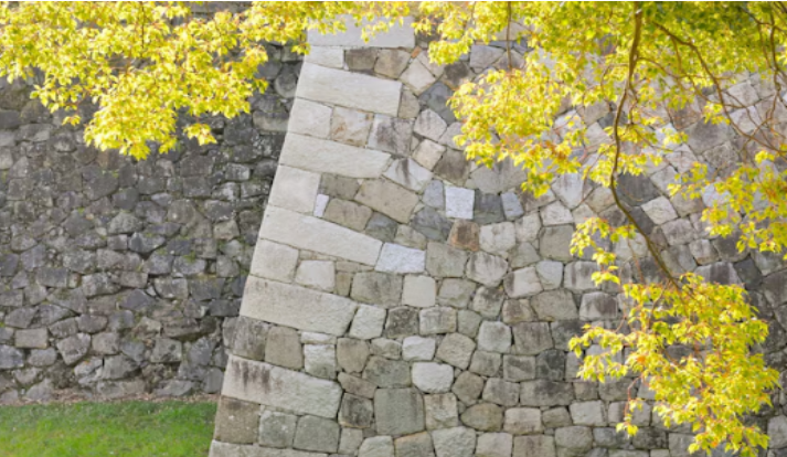 Revitalizing Your Home: Expert Strategies to Boost Curb Appeal